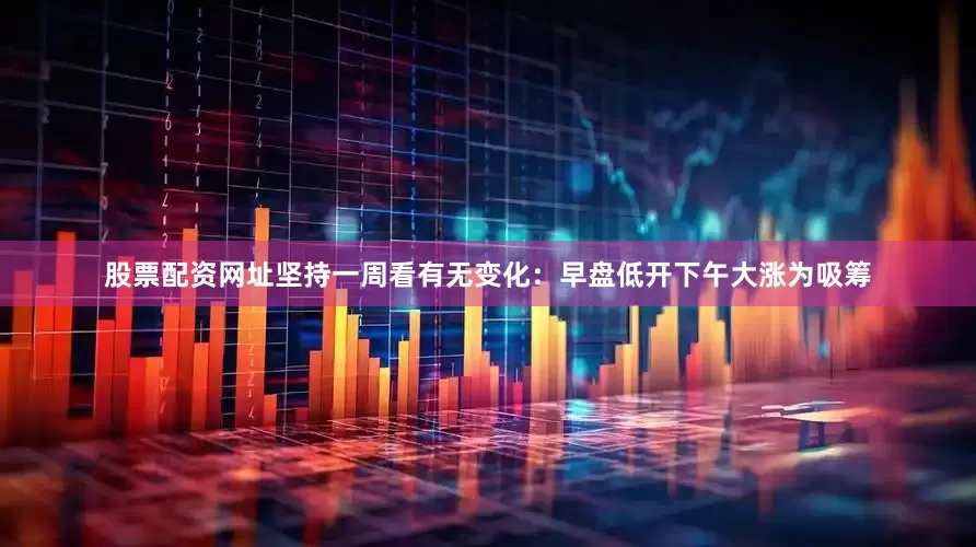 股票配资网址坚持一周看有无变化：早盘低开下午大涨为吸筹