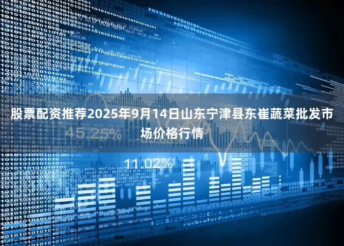 股票配资推荐2025年9月14日山东宁津县东崔蔬菜批发市场价格行情